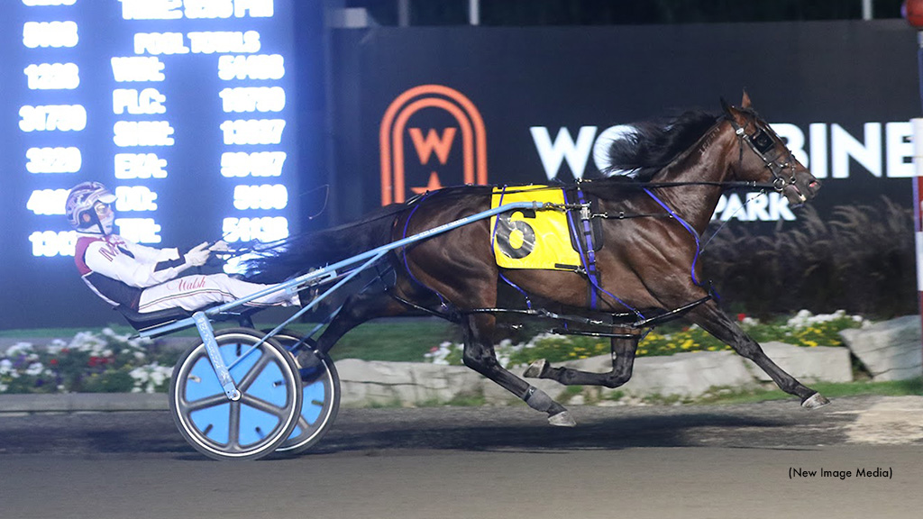 The Wild Card Sells For Six Figures