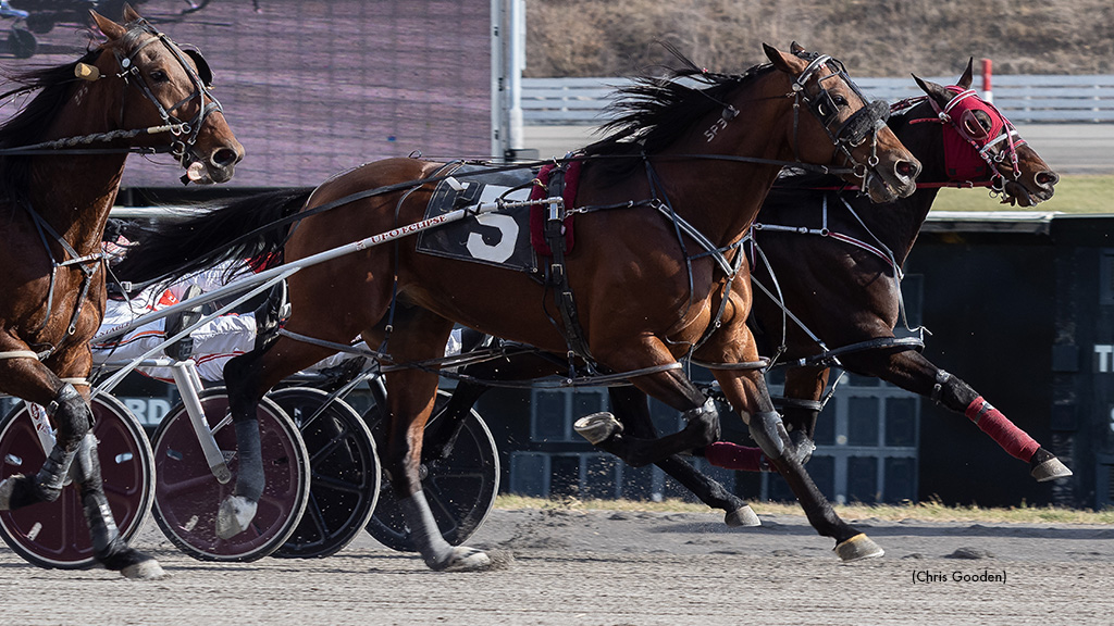 Wild Wild Western, Surreal Ideal Dead Heat In Meadows Top Pace