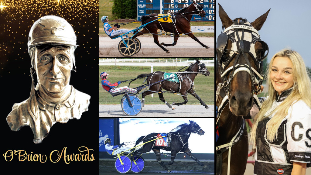 Schneider's Star Shines Bright