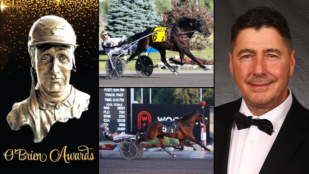 Reflecting On A Trotting Champion