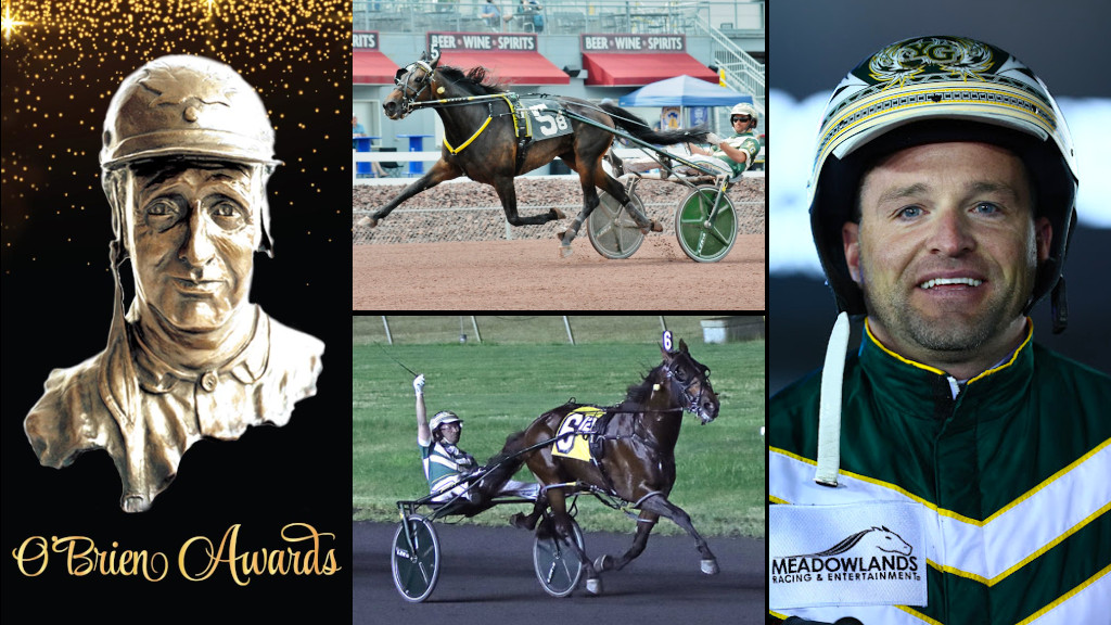 Through The Looking 'Glass' With Yannick Gingras