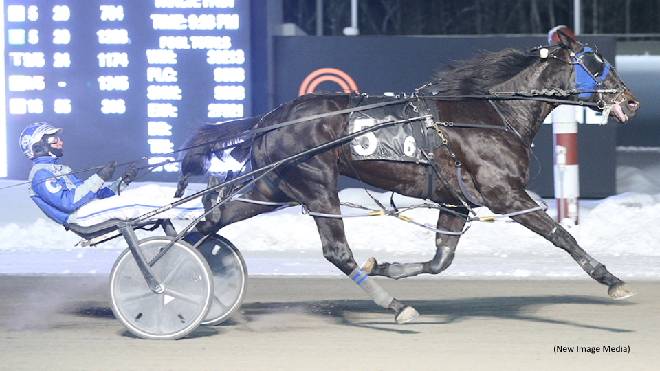 Claimers Clash In Pop Up Series At Mohawk Park