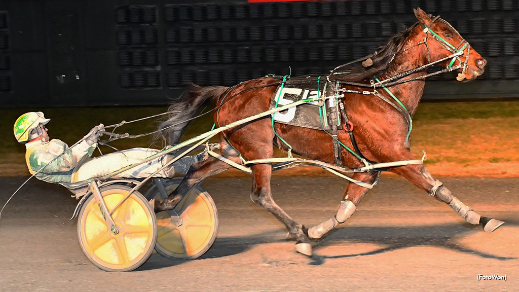 Backstreet Shadow Strong In Dover Open