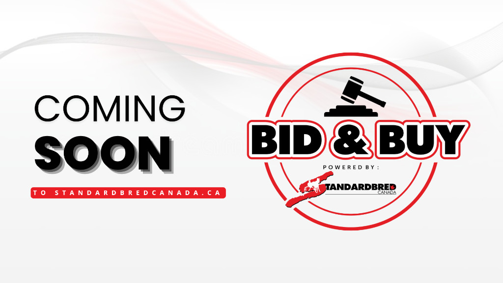 Bid & Buy - Coming Soon!