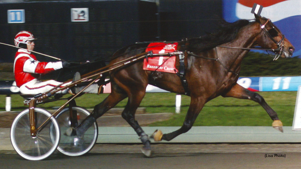 Cantab Hall Semen Available In New Zealand