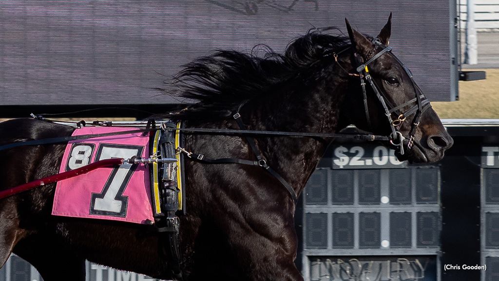 Combs Hanover Perseveres In Meadows Win Combs Hanover Perseveres In Meadows Win