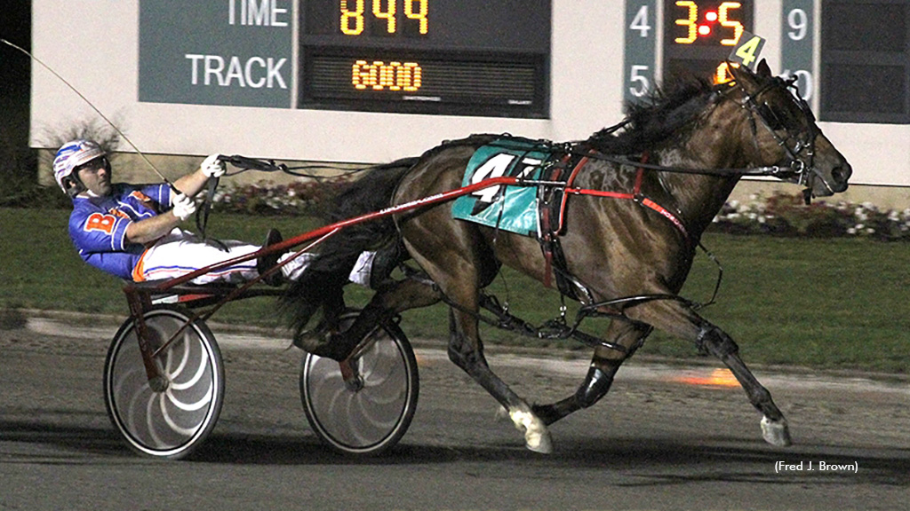 Doctor Butch To Stand Stud In 2023