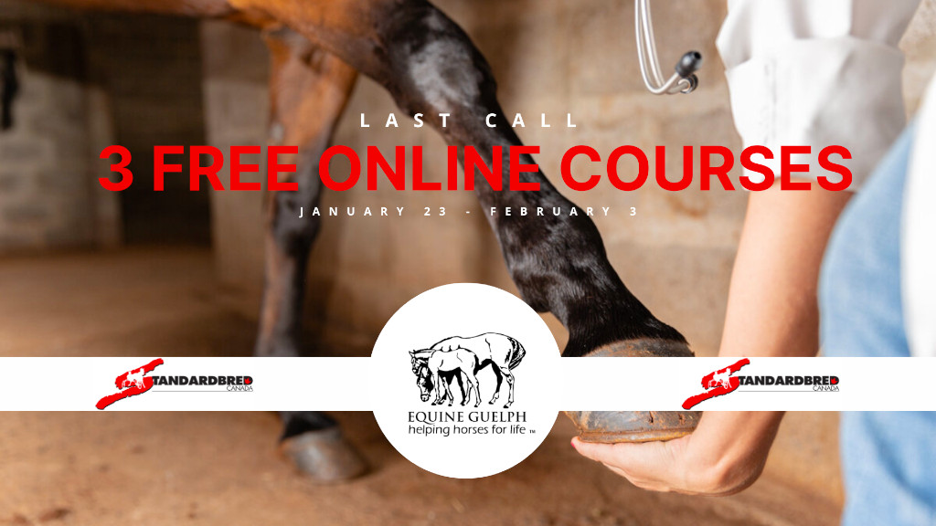 Last Call For Free Online Lameness Course
