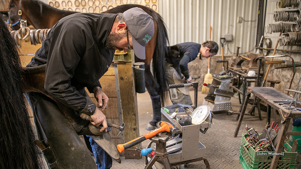 Farrier To The Stars