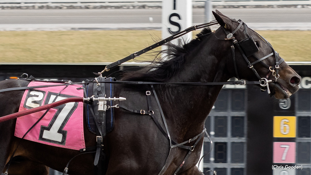 Lone Wolf Jake Draws Clear In Meadows Feature
