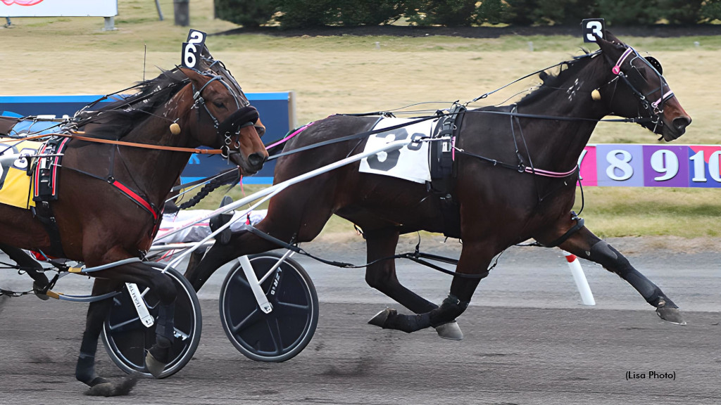 Nandolo N Breaks 1:50 In 'Big M' Preferred