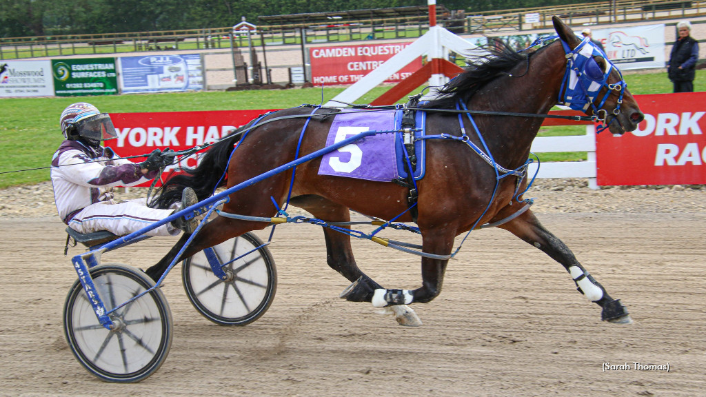 Newcomers Set For Big M Debuts