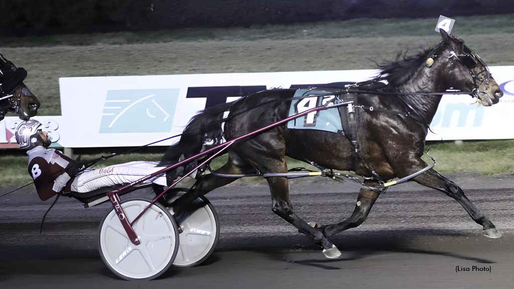 On The Money GB Cashes In North American Debut
