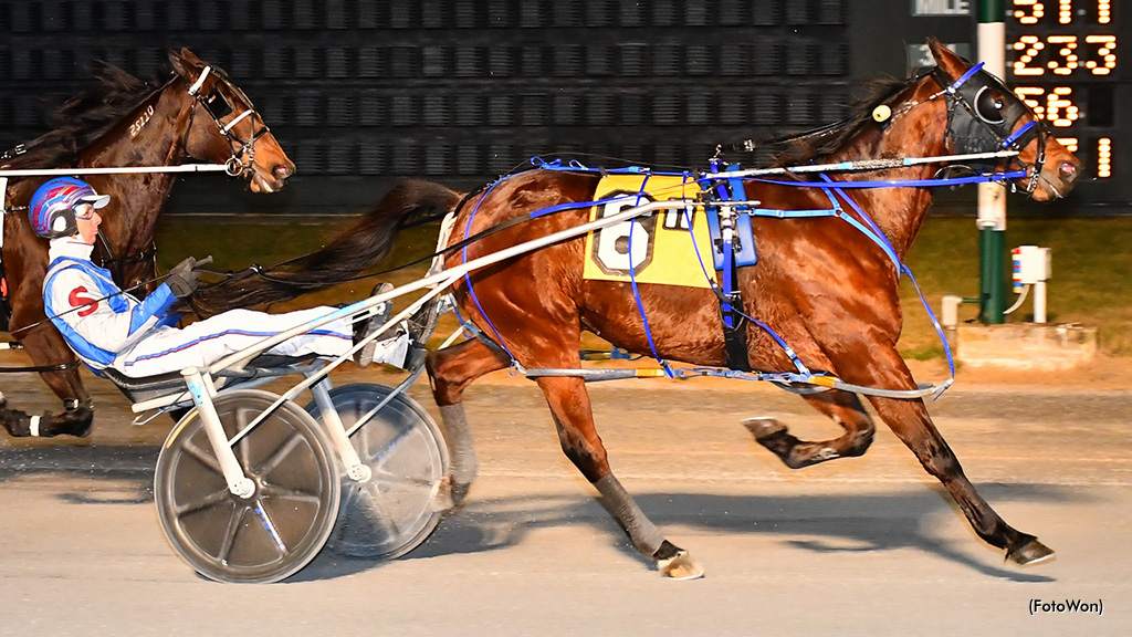 Penzance Hanover Pops In Dover Open