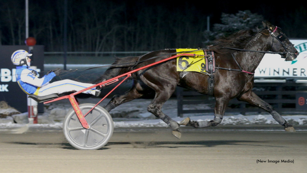 Pikachu Hanover Powers Away; Roy Racks Up Five