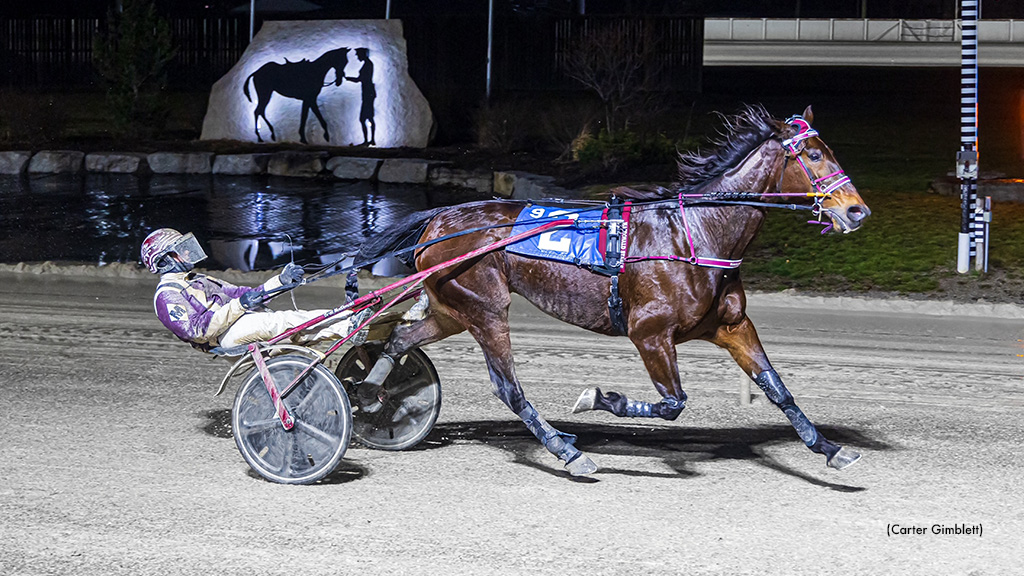 Power And Grace Gate-To-Wire In Western Fair Preferred
