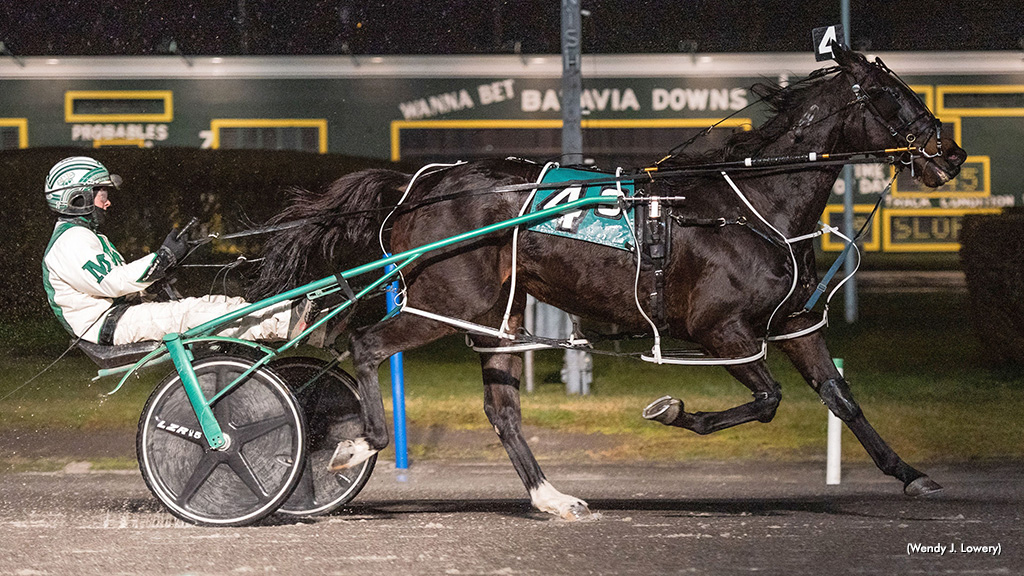 Rocknroll Shelli Rips Around Batavia