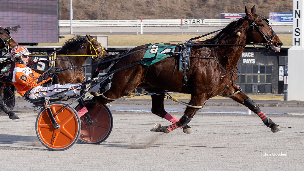 Sandbetweenmytoes Rallies To Win Meadows Top Pace