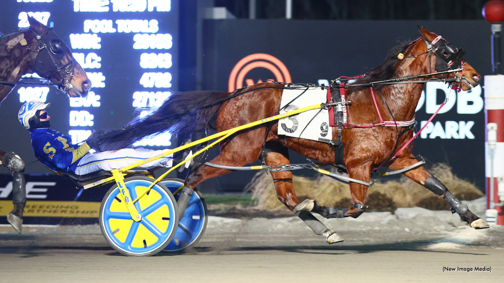 Five Straight For Saulsbrook Victor