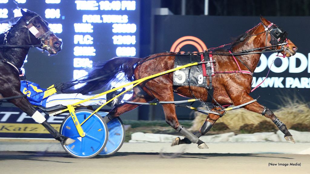 Saulsbrook Victor Struts In Mohawk Preferred