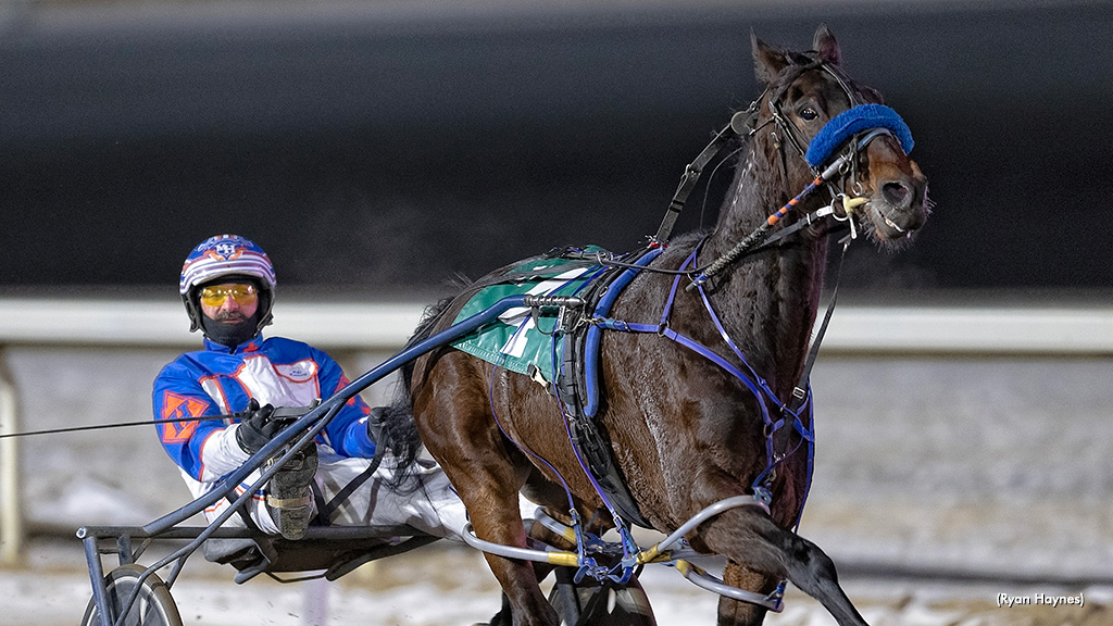 Shark Week Rebounds At Century Mile