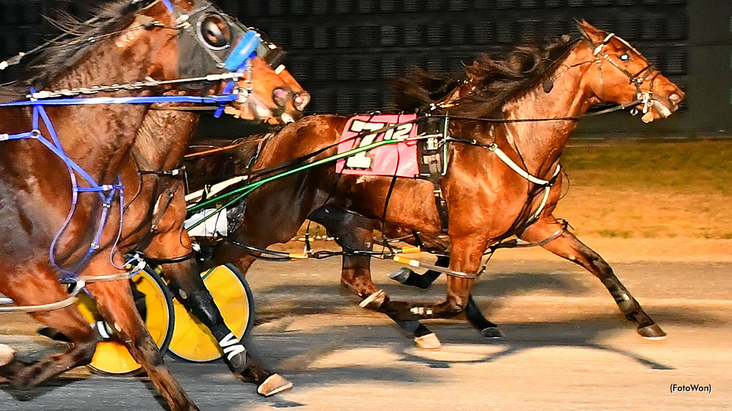 Always B First Wins Dover Mares Open