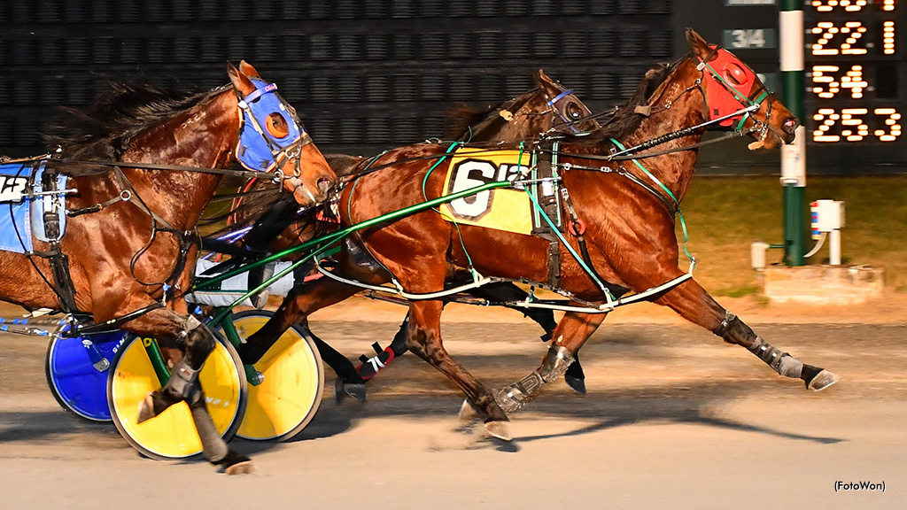 Backstreet Shadow Shines In Dover Open