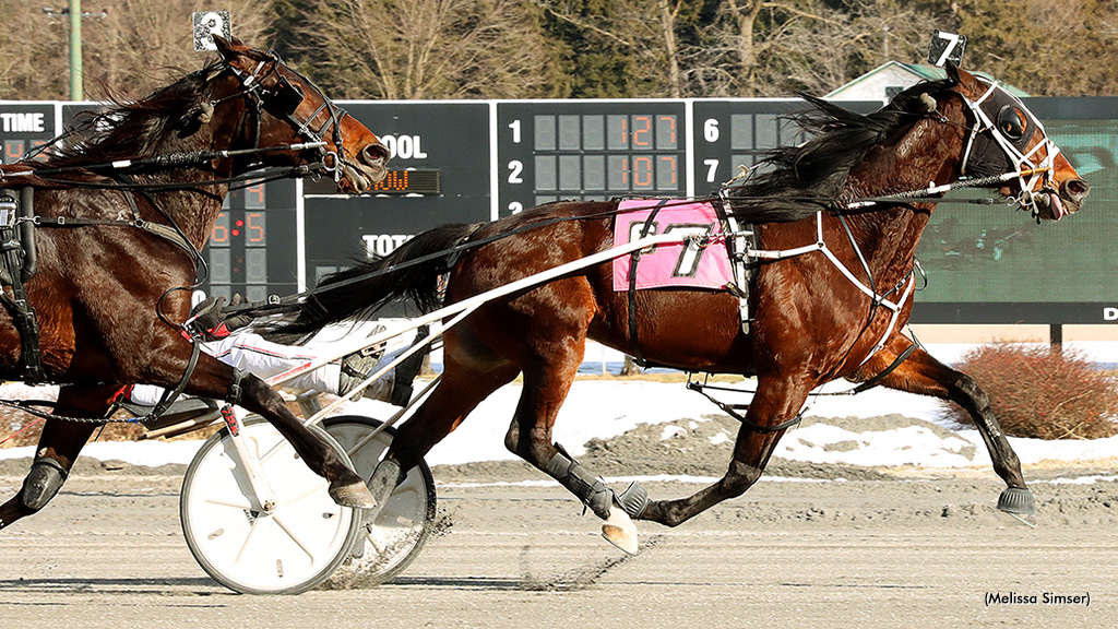 Big Box Hanover Best In Saratoga Open