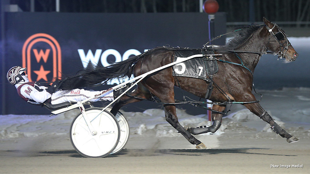 Camara Moment Repeats In Snowshoe