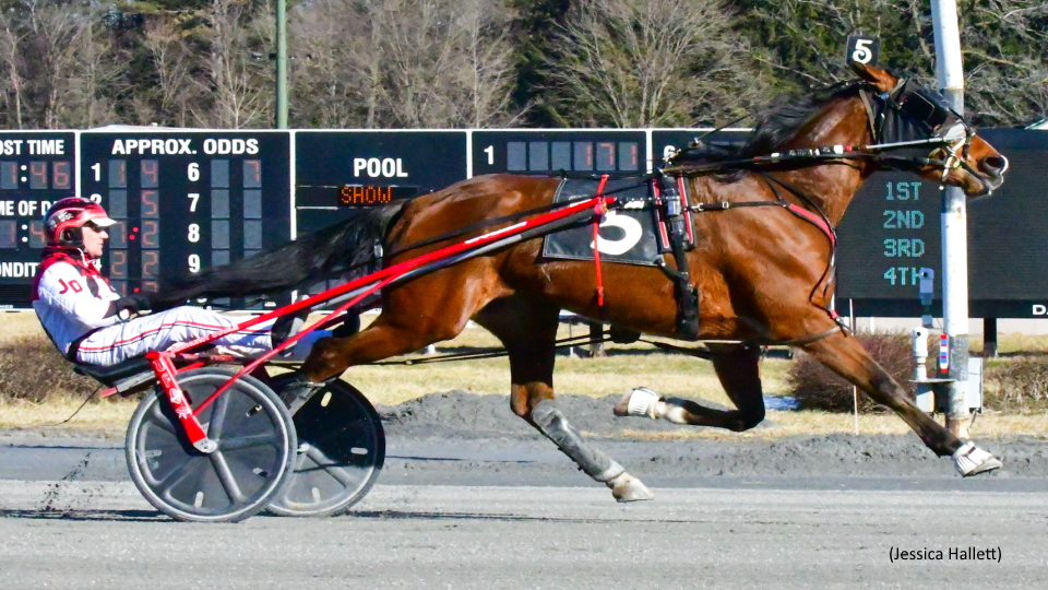 Dewey Arnold Scores In Saratoga Open Trot