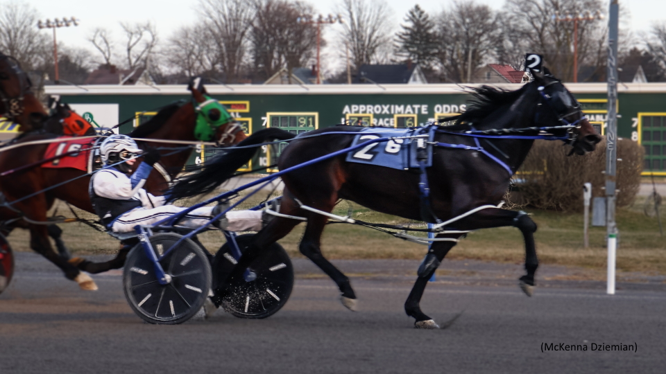 Pop Up Mania At Batavia Downs