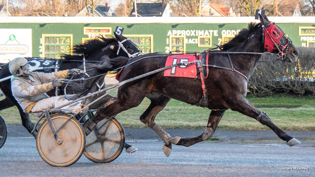 Longshots Thrive At Batavia