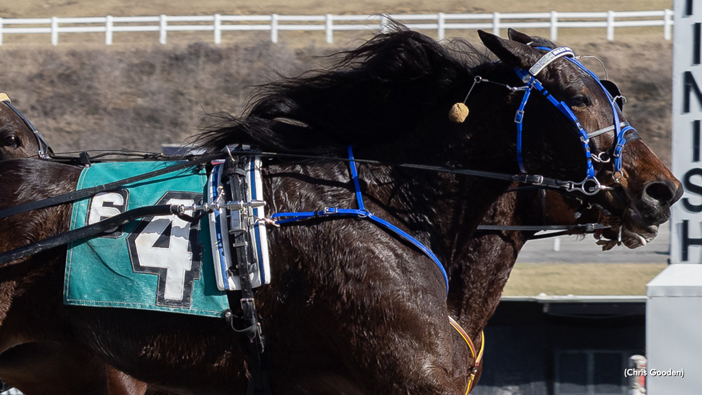 Fawn De Touch Trounces Foes At Meadows