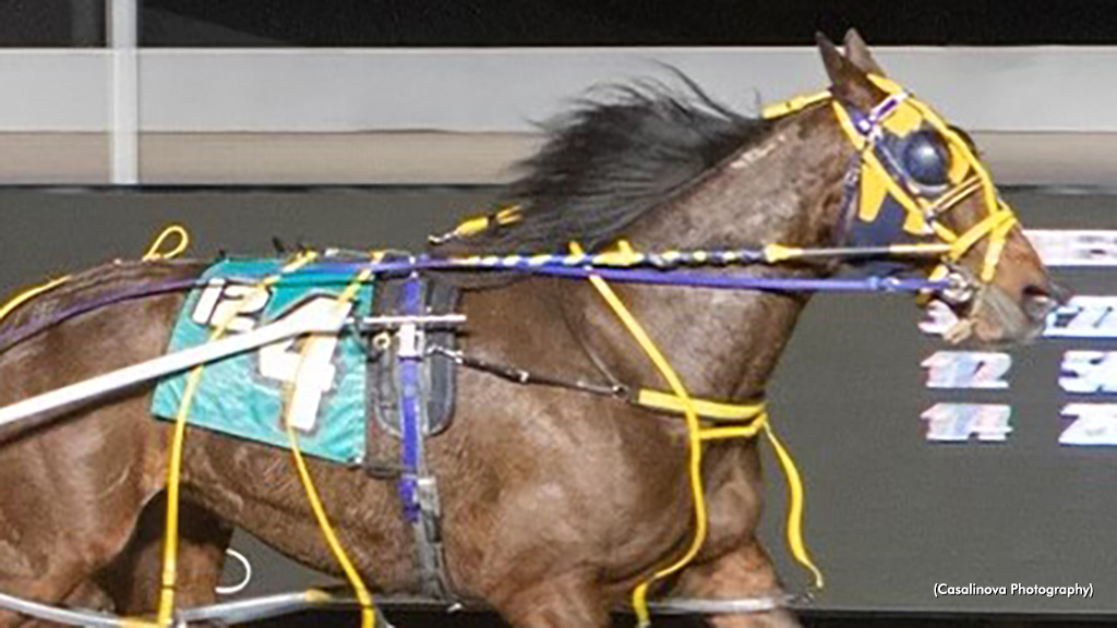 Grace Rocks Scores In Northfield Mares Open