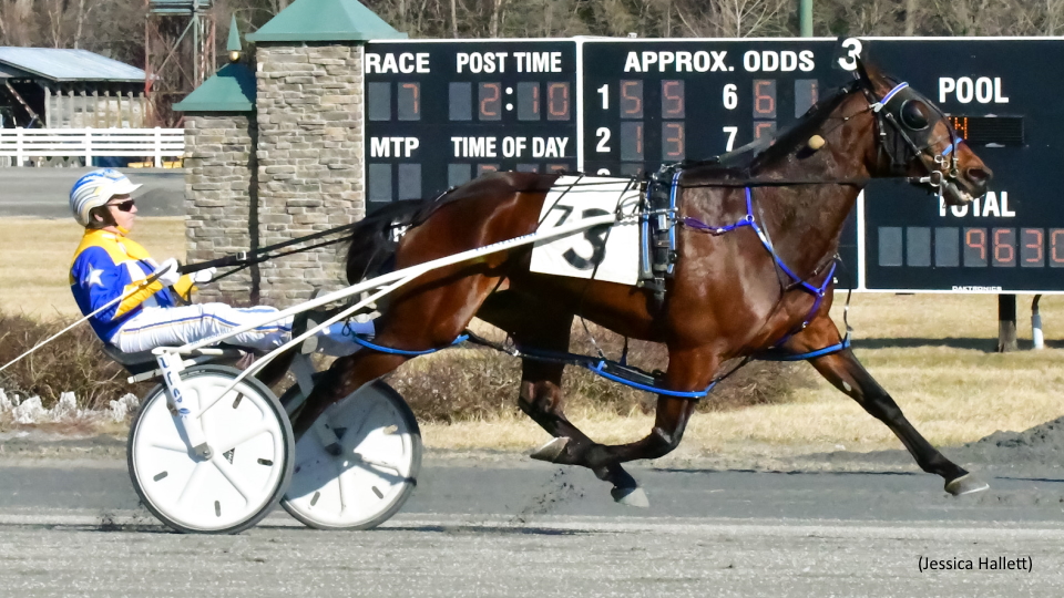 Ima Happy Fella GB Jogs In Saratoga Main Event