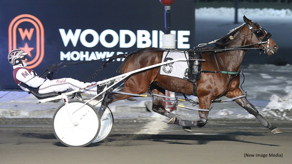 Pop Up Prelims Completed At Mohawk Park