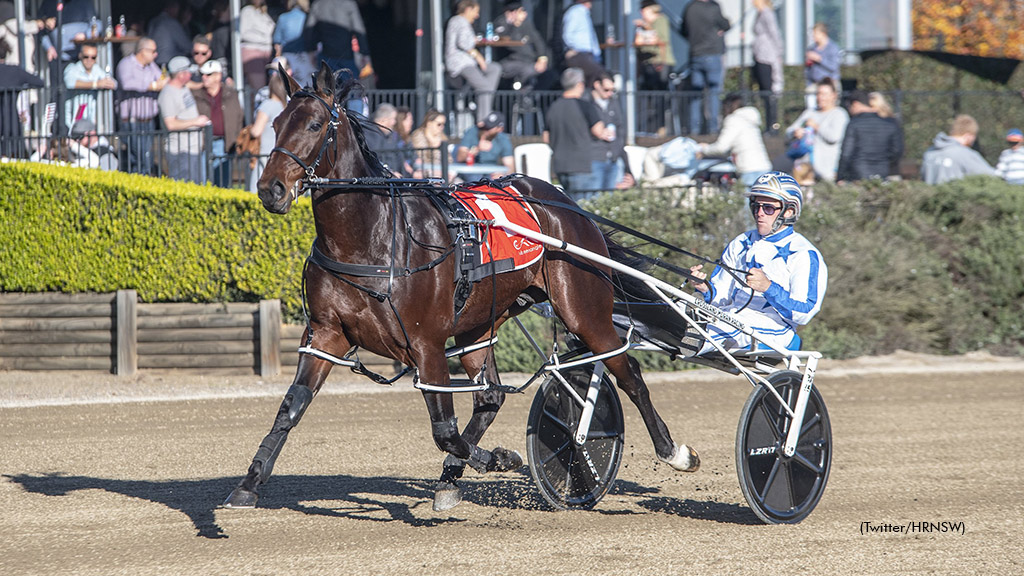 Lochinvar Art Ready For North American Debut