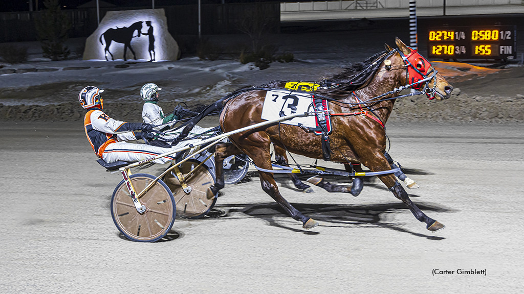 Lovemyrockinbird Victorious In London Preferred