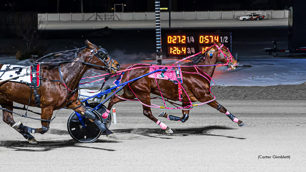 Major League N Dominates Western Fair Mares