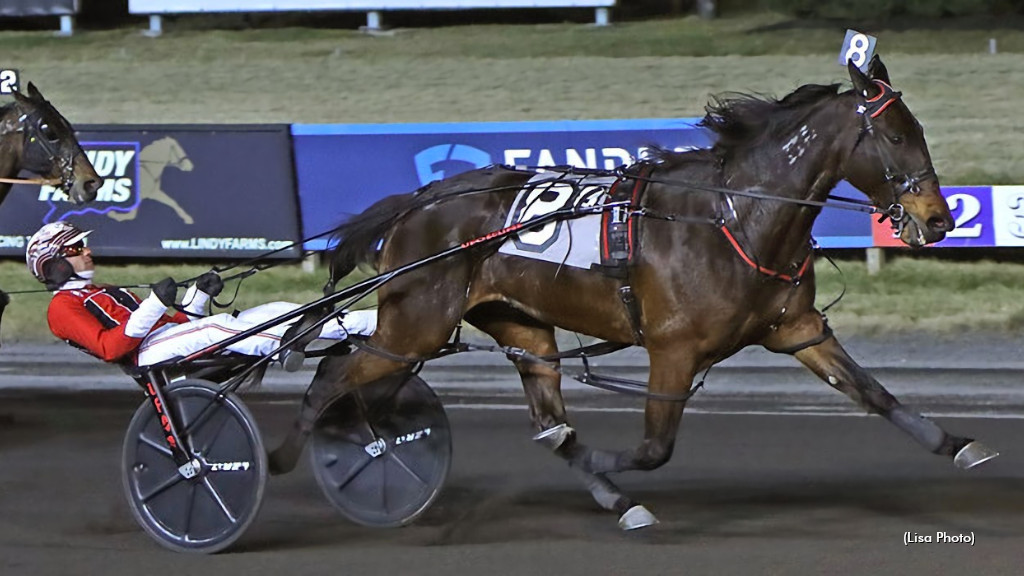 Majorca, 'Serious' And 'Nicky' Win At Big M