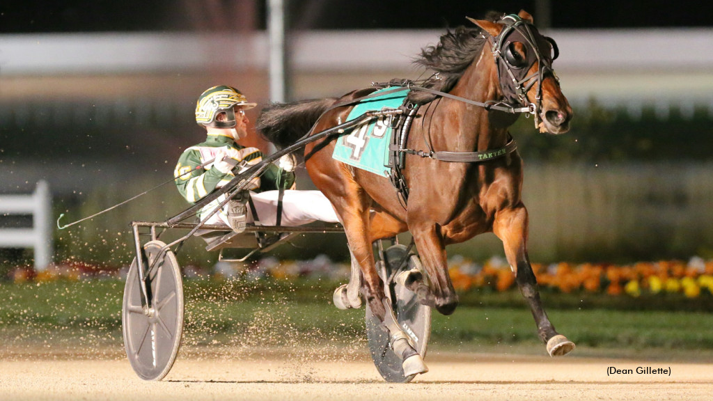 First Foal For Manchego