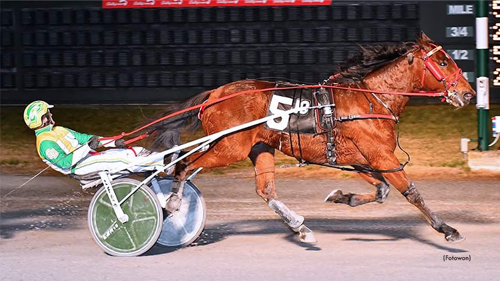 Muscle Dynasty Dominates Dover Open Trot
