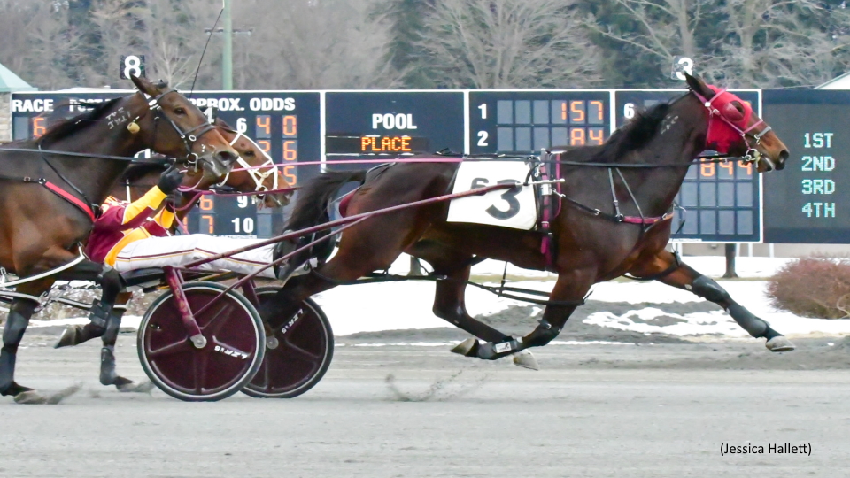 Saratoga Main Event To Newsy N Saratoga Main Event To Newsy N