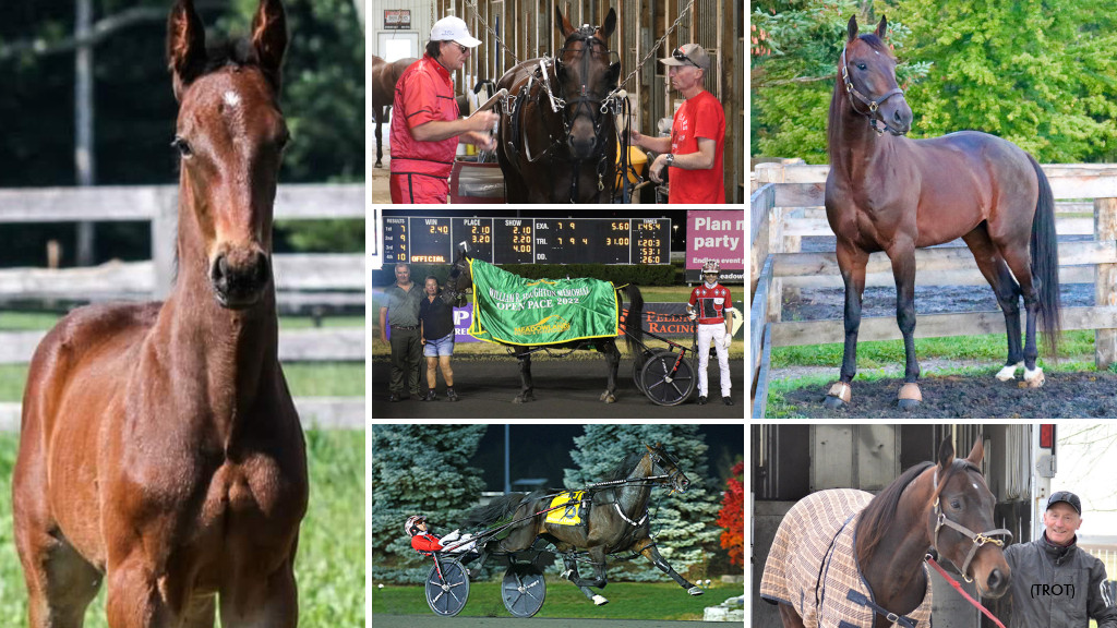 Bulldog Hanover: An Oral History Bulldog Hanover: An Oral History