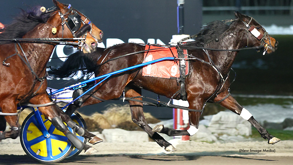 So Much More Shines In Mares Preferred