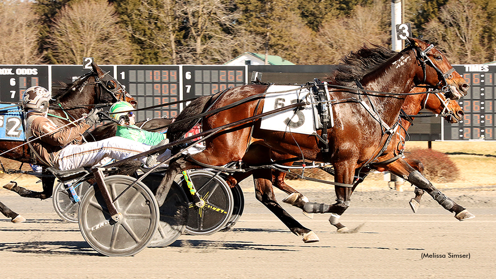 The Stunning Nun N Tops Saratoga Mares