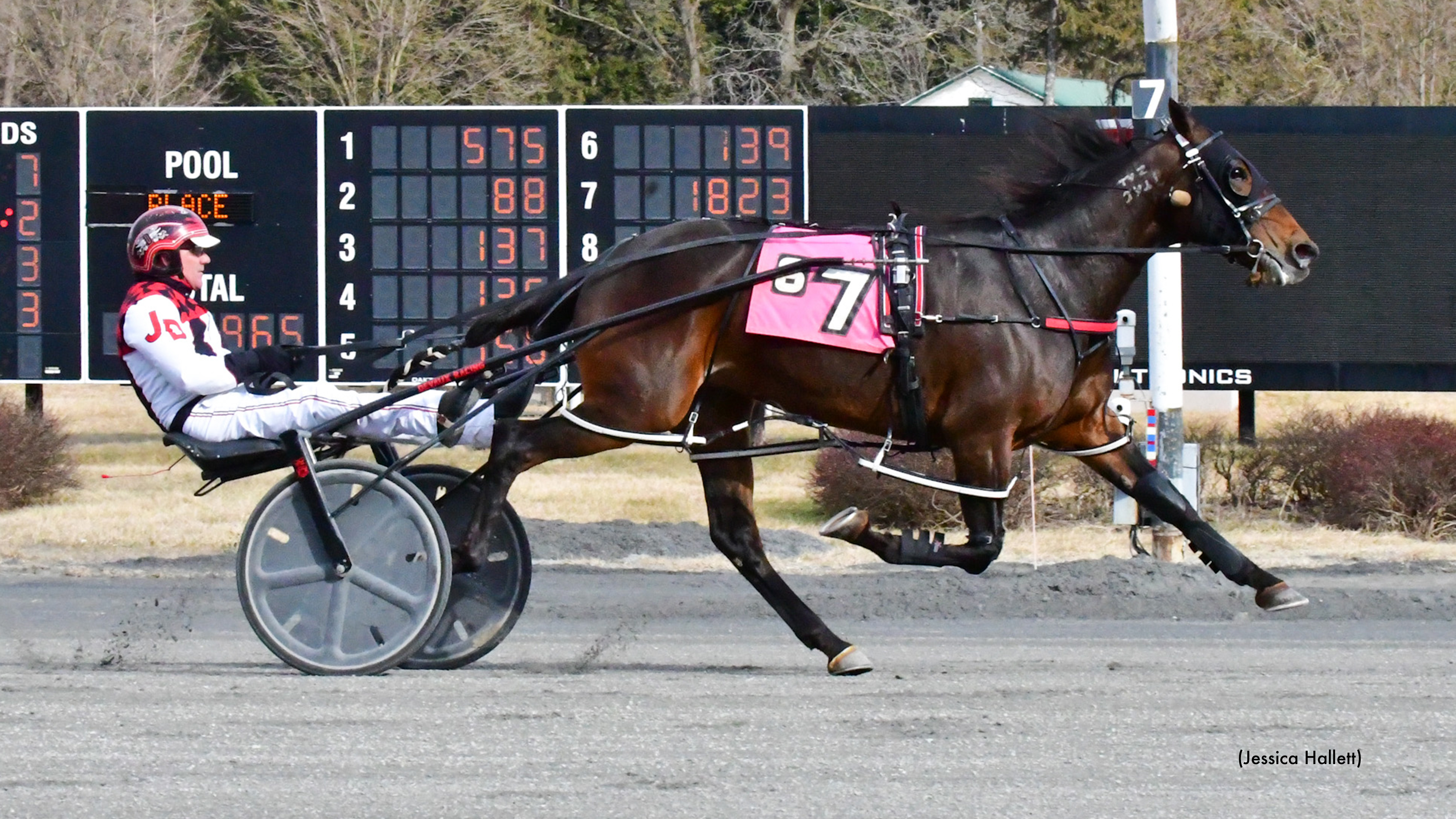 Wahs Fire Bug N Cruises To Victory In Saratoga Open