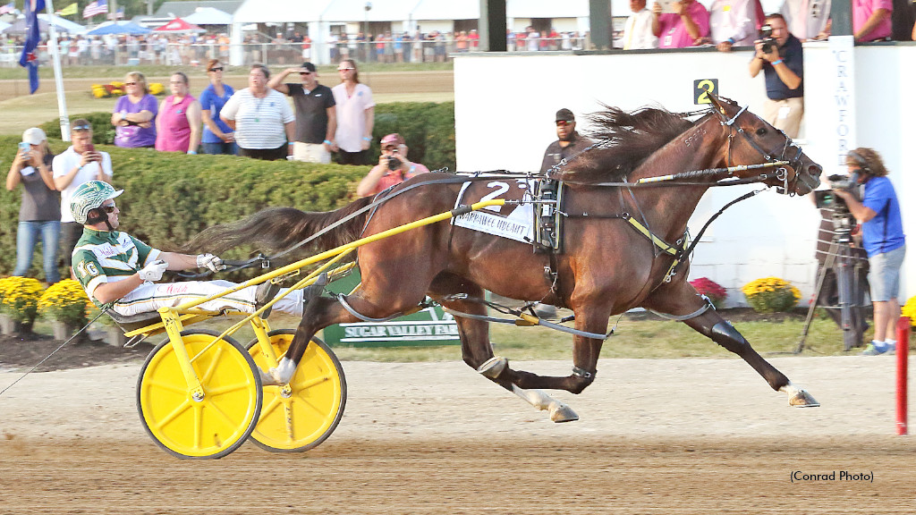 First Foal For Warrawee Ubeaut