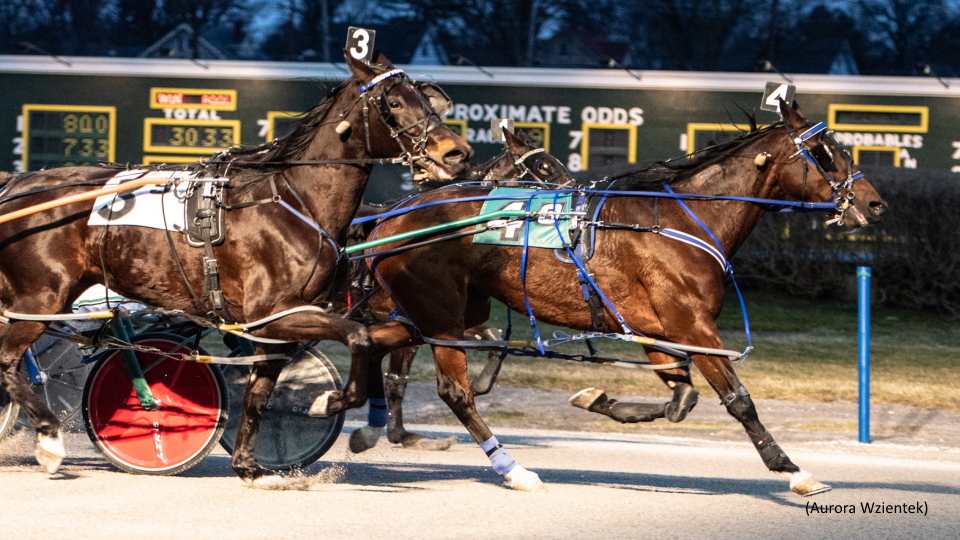 Whos Got The Move Upsets At Batavia Downs