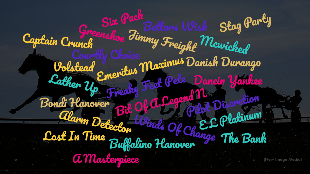 Focus On First-Crop Stallions